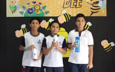 Spelling Bee, Cuarto a Sexto