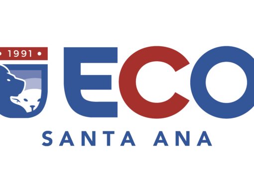 Consejo